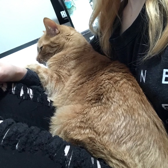 Meet your Posher, Witchstitch! - Picture 1 of 1